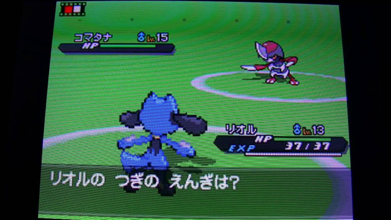 最も欲しかった Bw2 リオル かわいいポケモン