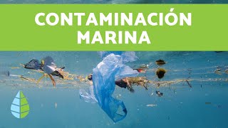 MARINE POLLUTION - Causes and solutions