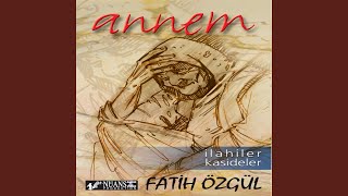 Erler Demine — Fatih Özgül kapak görseli