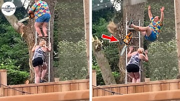 Idiots With Chainsaws: Tree Cutting Fails | Extreme Dangerous Logging Truck Fails #19