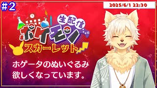 【ポケモンスカーレット】ホゲタンのぬいぐるみが欲しくなりました #２ 2025/06/01【乙凱モルフィ】