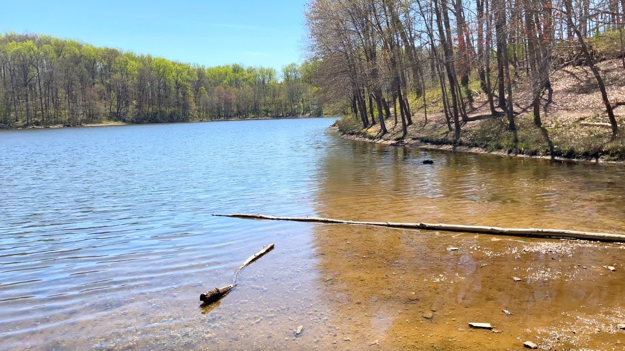 A soothing lakeside stroll at Lake Frank and Meadowside Trails 🇺🇸 4K relaxing travel Maryland