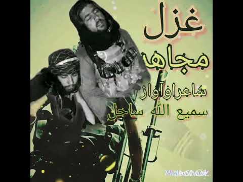 خړ سنګر وچه ډوډی درته یادیږی مجاهده سمیع الله ساحل