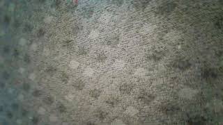 Possessed Woody Doll