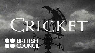 Cricket (1950)