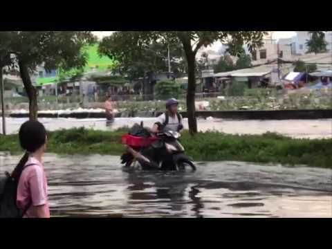 Video Chiều nay, triều cường sẽ 