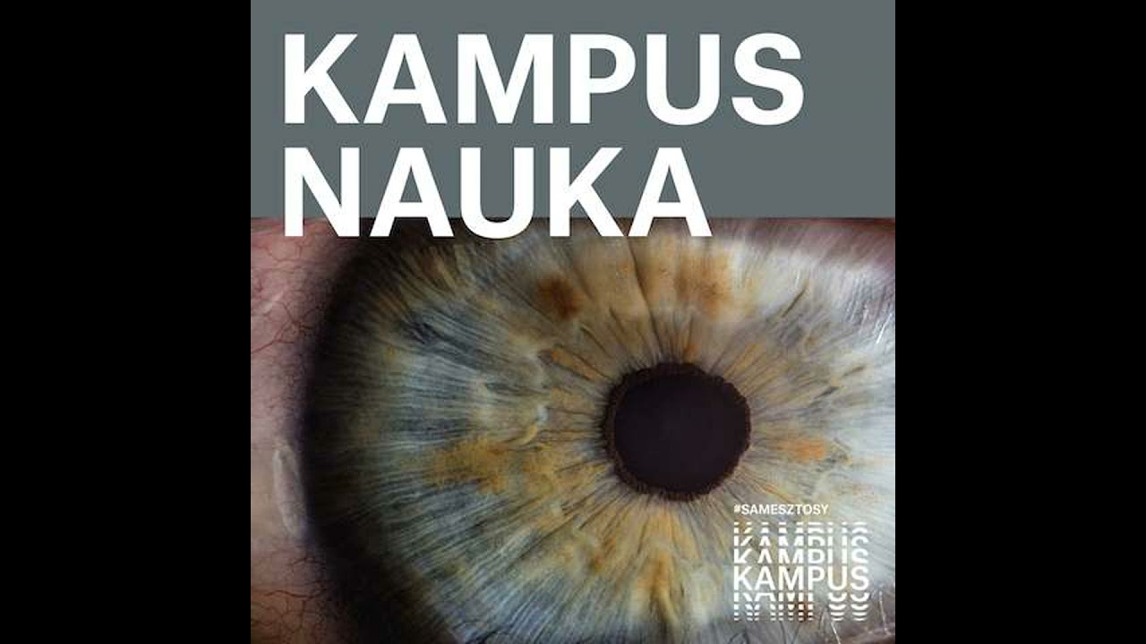 Zarażanie emocjami - od mysiego miasta do mediów społecznościowych