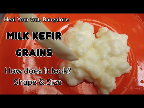 ቪዲዮ: ከጎጆ አይብ እና ከ Kefir ይልቅ-የካልሲየም አማራጭ ምንጮች