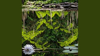 Peaceful Reflections in Harmonic Tranquility 2