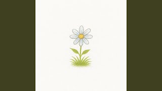 Blooming Flow