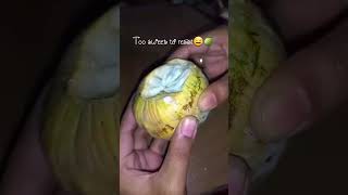 One bite of sitaphal, endless happiness 🤤🍏🍏 #shorts #sitaphal #fruit #nature #viral #ytshorts