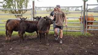 Farming with the Skip - Cameron Murray visits Latrell Mitchell's Farm
