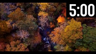 Celebrity 5 Minute Timer with Classical Music | Relaxing | Focus | Piano Instrumental Profile