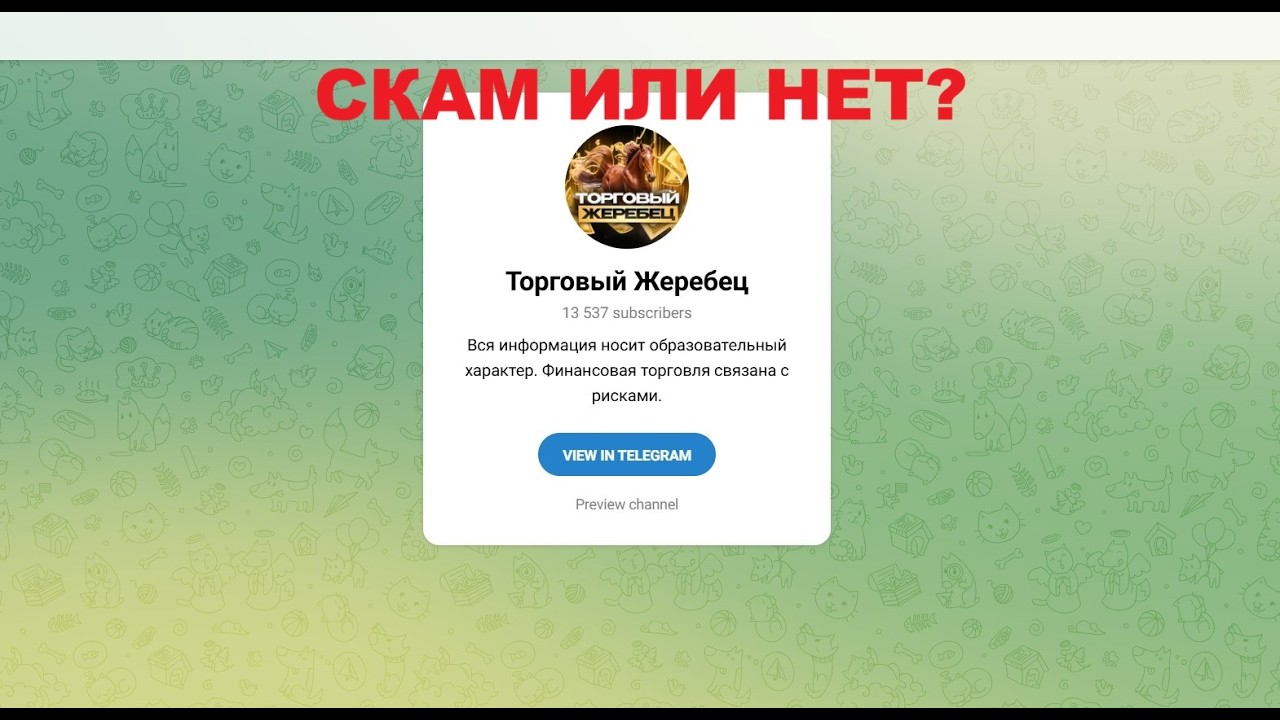 Торговый жеребец – стоит ли верить каналу?