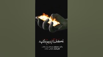اليوم نختم على افواههم وتكلمنا ايديهم- بصوت طالب العلم القارئ غالب جسار، لن تمل من استماعه 👍