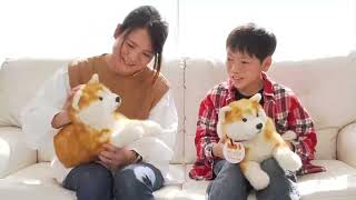 Amazon.co.jp | トレンドマスター なでなでワンちゃん秋田犬
