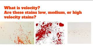 Basic Blood Spatter Analysis