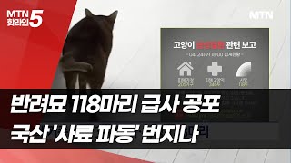 반려묘 118마리 급사 공포… 국산 '사료 파동' 번지나 / 머니투데이방송 (뉴스)