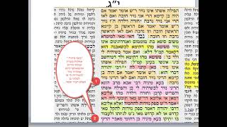 נזיר יג דף יומי מסכת נזיר דף יג Daf yomi Nazir daf 13 שמואל נבון