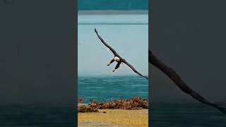 Grass Rock judul lagu Bersamamu