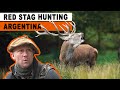 Red stag hunting shot argentina  world record  chasse au cerf en argentine  2023