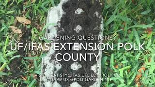 How to: Start Seeds Using Egg Cartons
