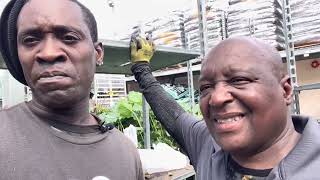 Clarendon Is The Location Of The Milk River Bath Bathe, A Mineral Spa Famous For The Theutic Val