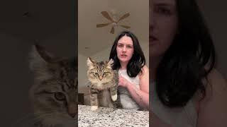 As someone who has experienced the trenches of ringworm with a cat, I’m 98.3% sure it’s not