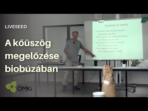 Videó: Hogyan kell használni a rosszat vagy a rosszat és a jót vagy jól: 8 lépés (képekkel)