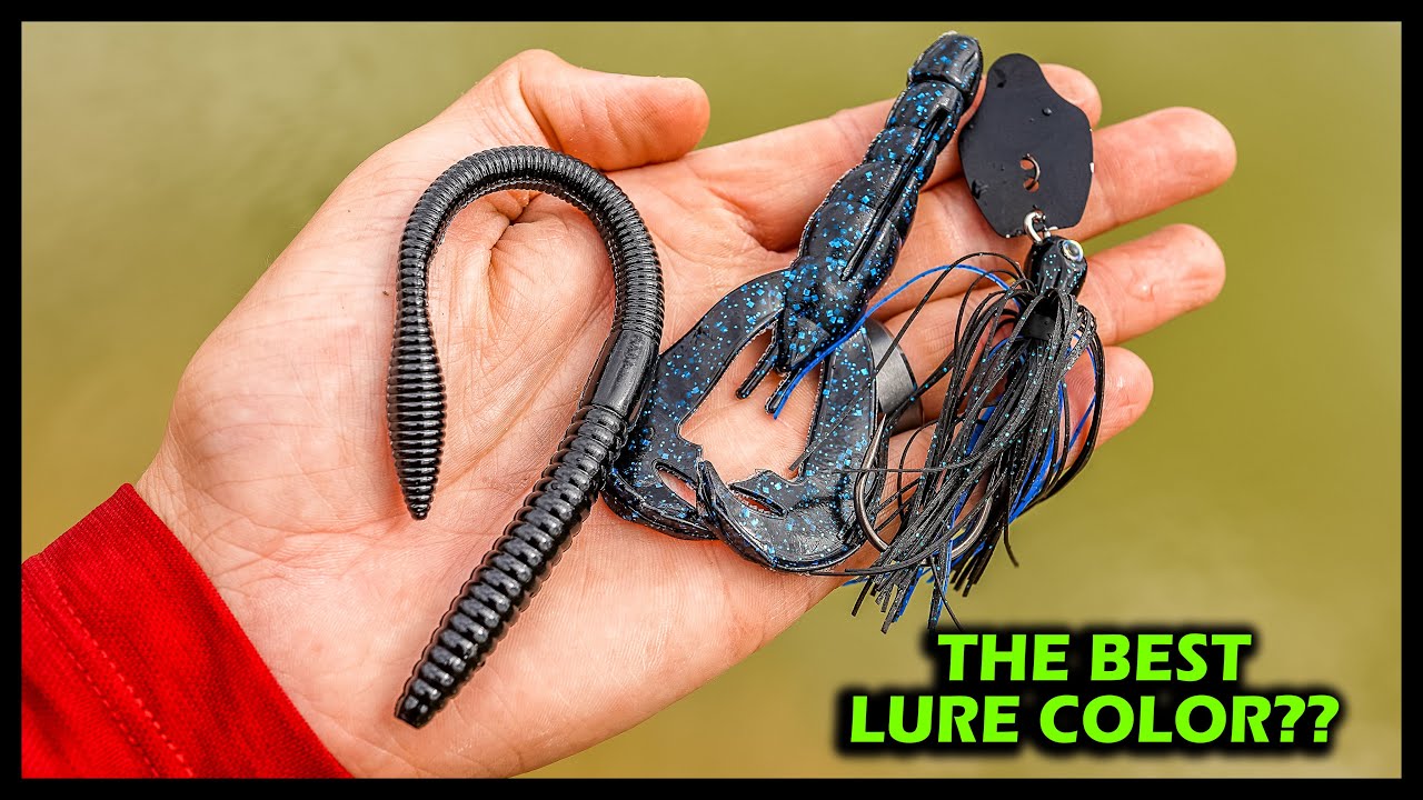 Why BLACK & BLUE Catches SO MANY FISH!! (BASS FISHING TIPS)