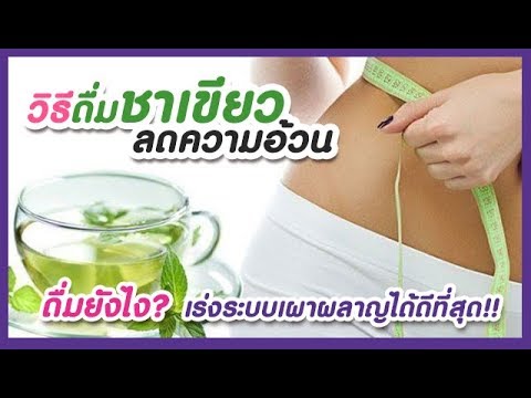 ดื่มชาเขียวลดความอ้วนให้ได้ผล!! เร่งเผาผลาญ ลดน้ำหนักได้ดีที่สุด Drink green tea to lose weight.