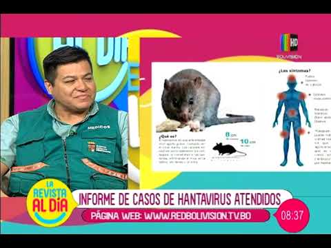 Entregan informe de casos de hantavirus atendidos informaciones diario