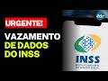 ALERTA: Vazamento no MEU INSS atinge 2,8 milhões de CPFs! VEJA O QUE FAZER