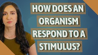 How does an organism respond to a stimulus?