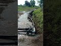 Drip trial