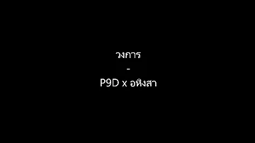 P9D x อหิงสา -วงการ