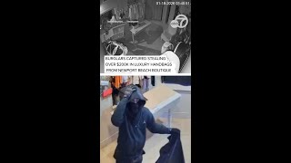 Burglars steal over $200,000 in luxury handbags from Newport Beach boutique