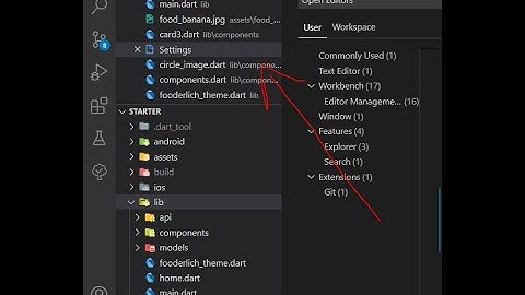 VSCode "Open Editors" panel not showing / How to remove Open Editors or  Activity log Bar in Vscode