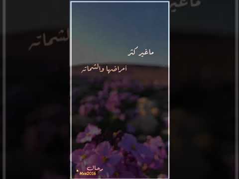 ابا اتونس دامني فوقها حي