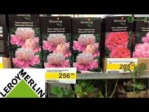 🌷ЛЕРУА МЕРЛЕН НОВИНКИ для дачи в апреле 2018🌷ПОЛНЫЙ обзор для дачи Leroy Merlin апрель 2018