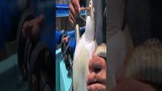 Unhinged Webms Part 8