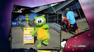 AIGO welcome familiy ****S - Life Radio Brückenpicknick / Linz 2015