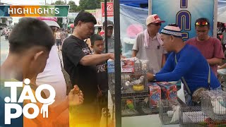 'Tao Po:' Breeder ng ibon dumadayo sa iba't ibang pet tiangge para kumita