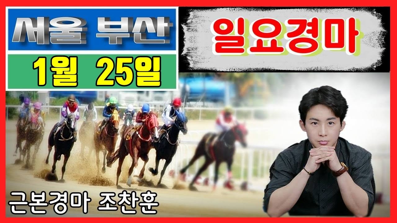 🟡경마예상💥경마방송🔵조찬훈경마🚩실시간경마🥇일요경마🎯일요예상