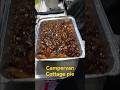 Campervan cottage pie for dinner #cottagepie #vanlivinguk #campervan