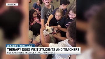 Something to Smile About: Therapy dogs visit school library