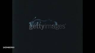 gettyimages 1459405903 640 adpp