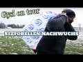 Seeforellen erhalten / Besuch in einer anderen Fischzucht / Seeforellen Eier für meine Fischzucht