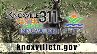 City of Knoxville Brush Pickup 2017