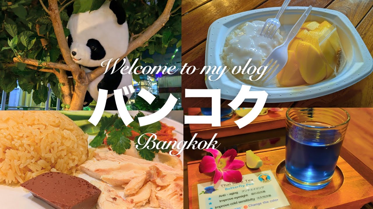 2月乾季🌼初めてのタイ・バンコク2泊4日 スパもマッサージも。マンゴー🥭、タイティー🇹🇭、カオマンガイも食べた！お土産も参考にしてね。